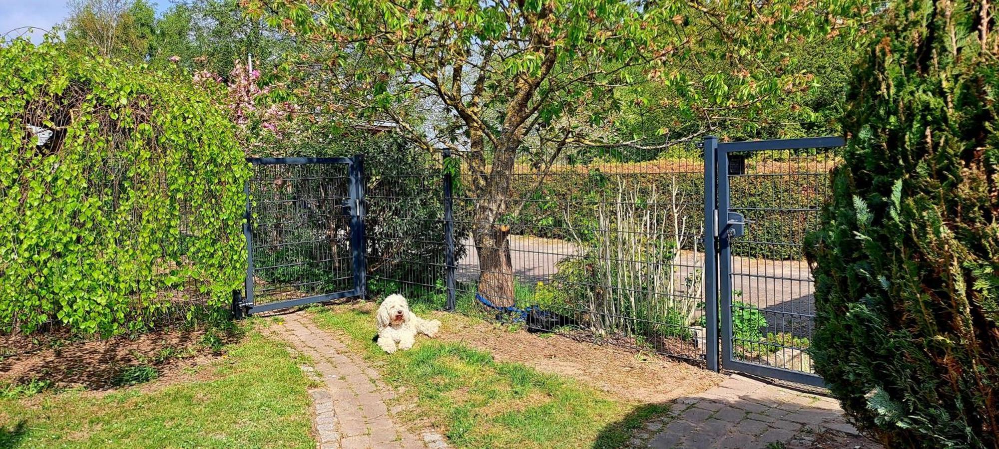 Fewo Sonne Rovershagen Dış mekan fotoğraf